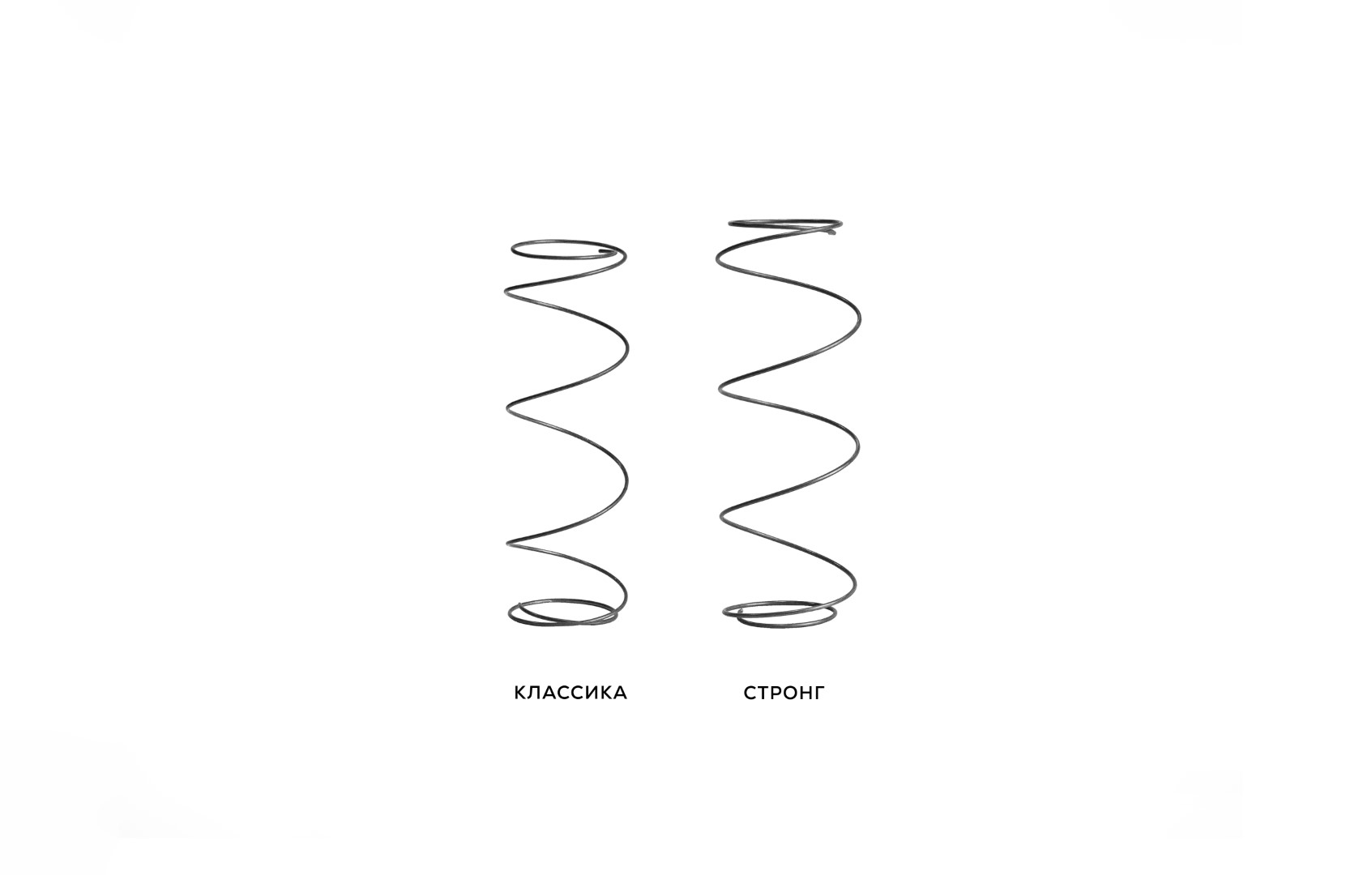 Konorev Group Slide 4